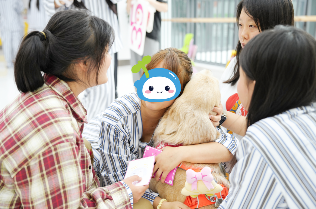 狗医生持证上岗！西南康复医院多元疗愈模式赋能身心康复